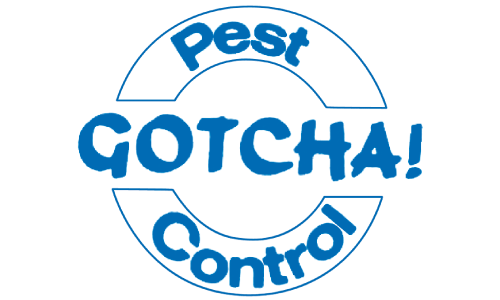 Gotcha Pest Control - Akron, OH