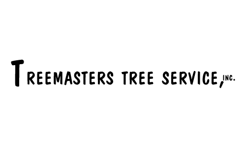 Treemasters Tree Svc - Medina, OH