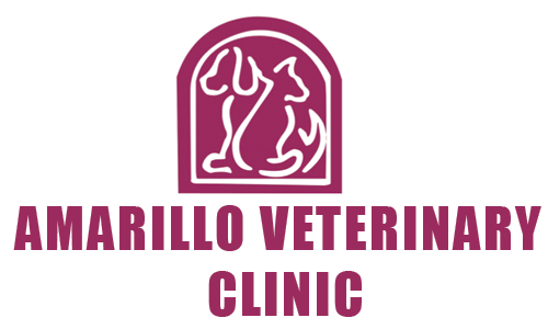 Amarillo Veterinary Clinic - Amarillo, TX