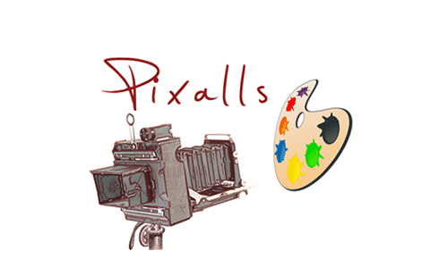 Pixalls Photoart Gallery & Std - Willoughby, OH