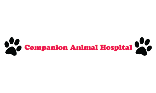 Companion Animal Hospital - Solon, OH