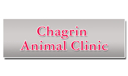 Chagrin Animal Clinic INC - Chagrin Falls, OH