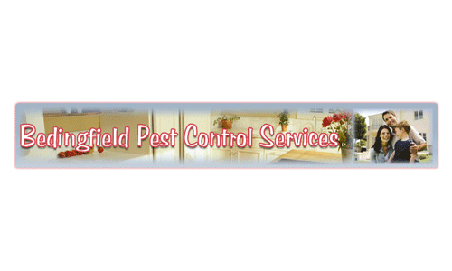 Bedingfield Pest Control Services - Kingsville, TX