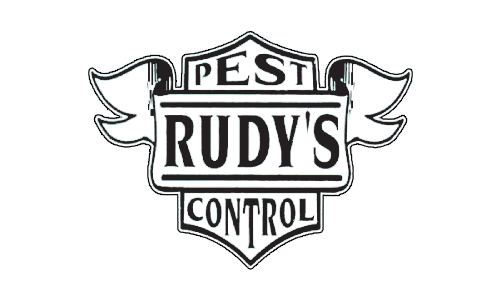 Rudy's Pest Control - Kingsville, TX