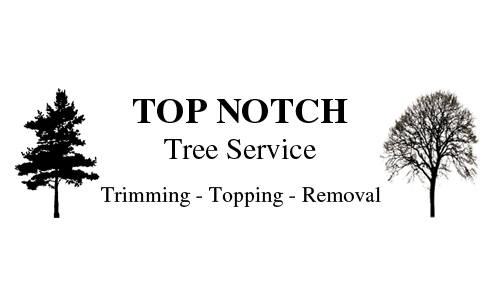 Top Notch Tree Svc - Youngstown, OH