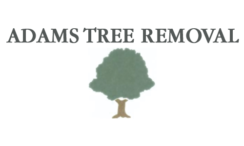 Adams Tree Removal - Sulphur, LA