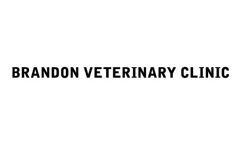 Brandon Veterinary Clinic - Leesville, LA