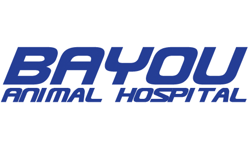 Bayou South Animal Hospital - Lake Charles, LA