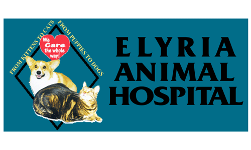 Elyria Animal Hospital - Elyria, OH