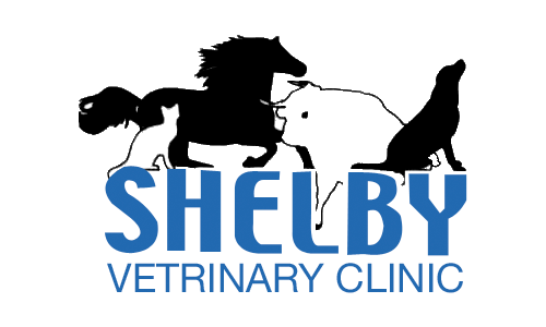 Shelby Veterinary Clinic PLLC - Shelbyville, KY