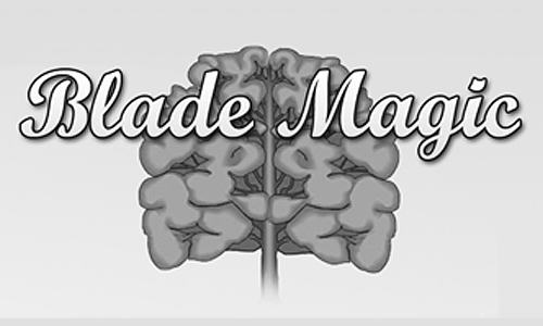 Blade Magic Lawn Landscape & Tree Service - Hillview, KY