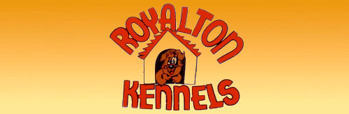 Royalton Kennels - Louisville, KY