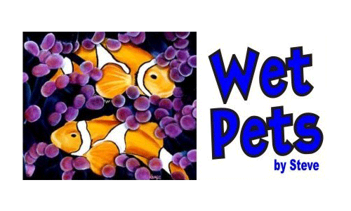 Wet Pets By Steve - Norman, OK