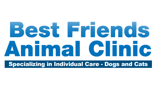 Best Friends Animal Clinic - Mantua, OH