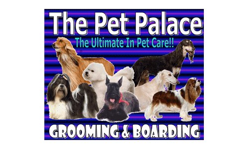 Pet Palace - Edinburg, TX