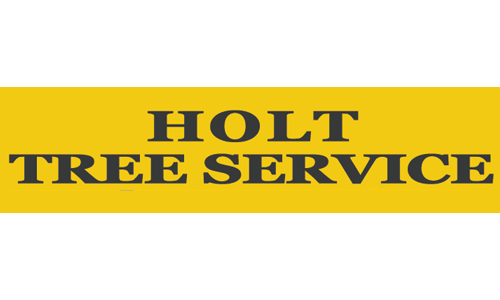 Holt Tree Service - Mercedes, TX