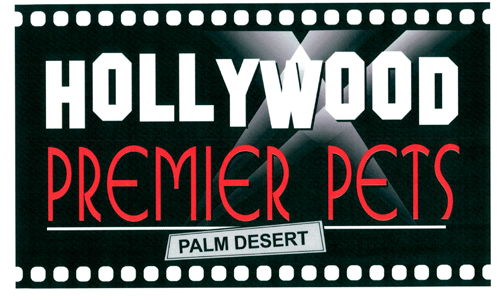 Hollywood Premier Pets - Palm Desert, CA