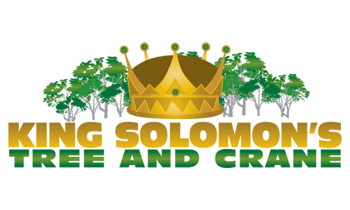 King Solomon's Tree Service - Conroe, TX